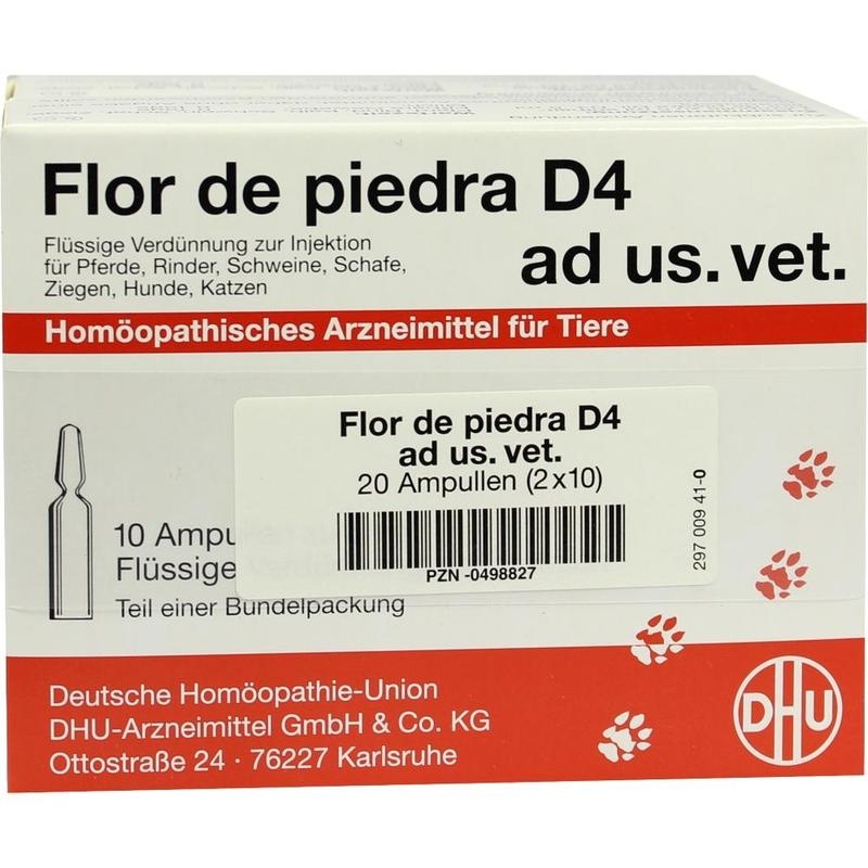 FLOR DE PIEDRA D 4 Ampullen vet.