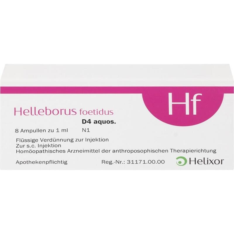HELLEBORUS FOETIDUS aquos. D 4 Ampullen