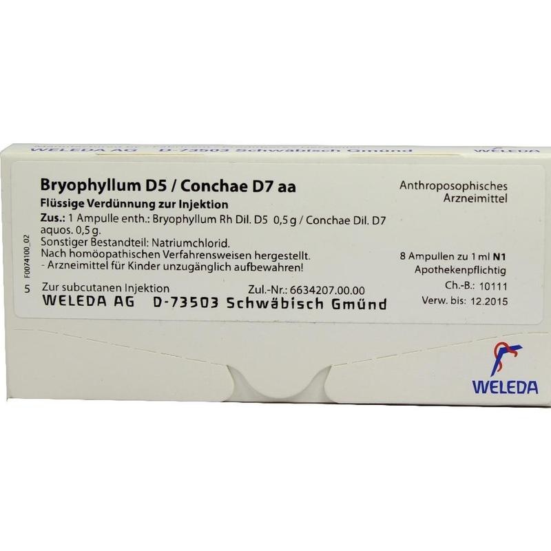 BRYOPHYLLUM D 5/Conchae D 7 Ampullen