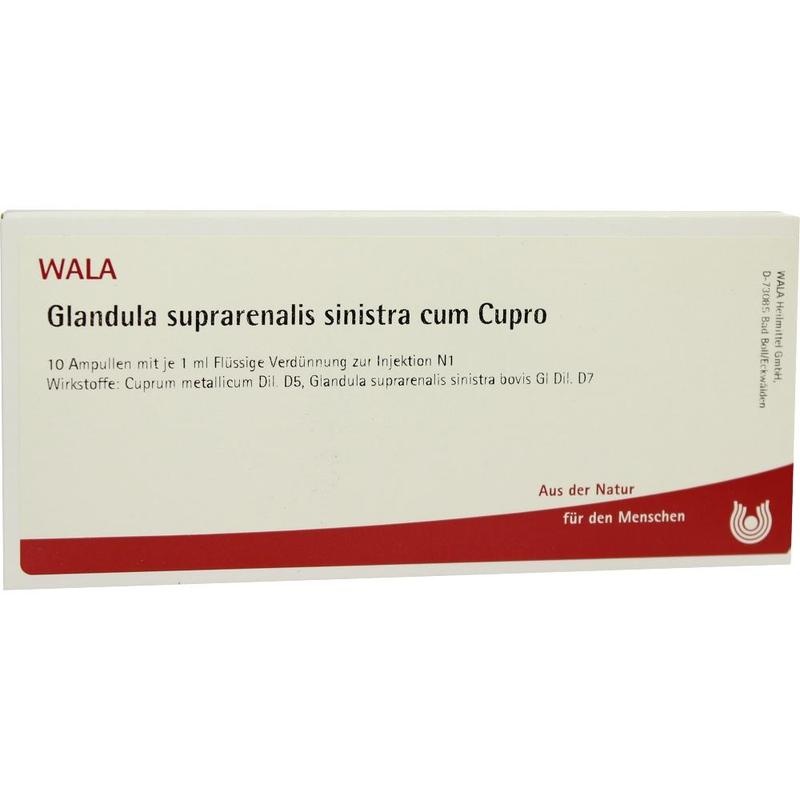 GLANDULA SUPRARENALIS sinistra cum Cupro Ampullen