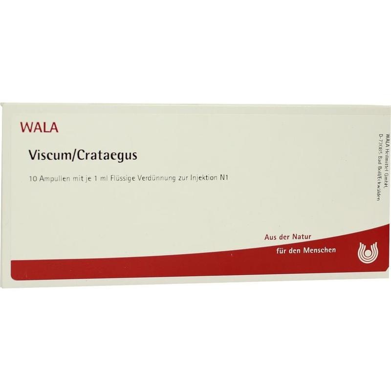 VISCUM CRATAEGUS Ampullen