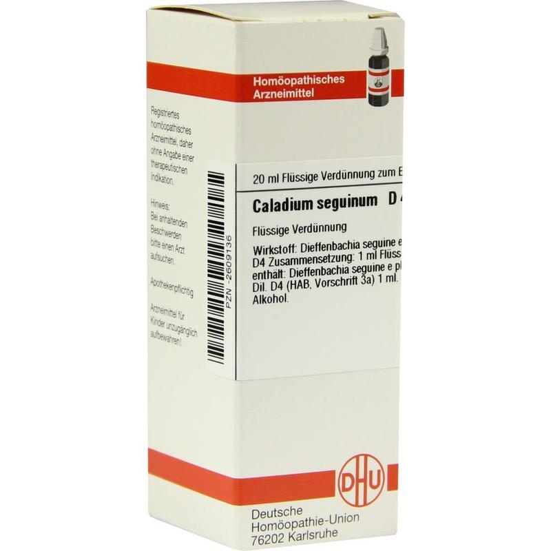 CALADIUM seguinum D 4 Dilution