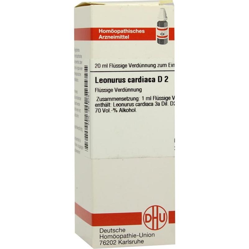 LEONURUS CARDIACA D 2 Dilution