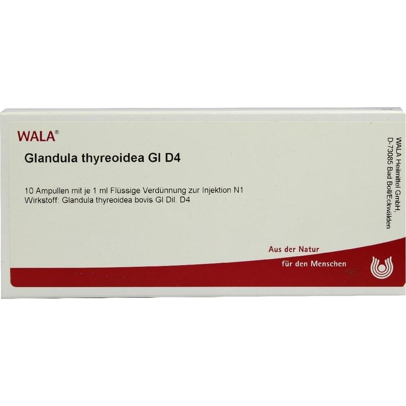 GLANDULA THYREOIDEA GL D 4 Ampullen