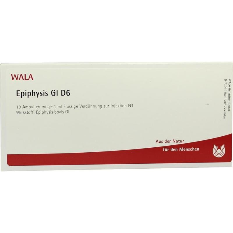 EPIPHYSIS GL D 6 Ampullen