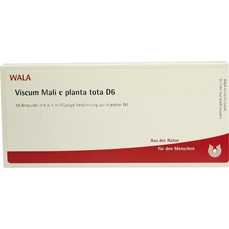 VISCUM MALI e planta tota D 6 Ampullen