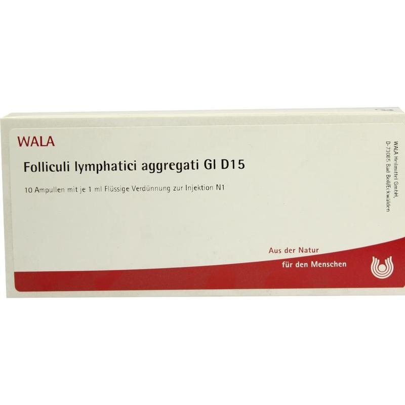 FOLLICULI LYMPHATICI aggregati GL D 15 Ampullen