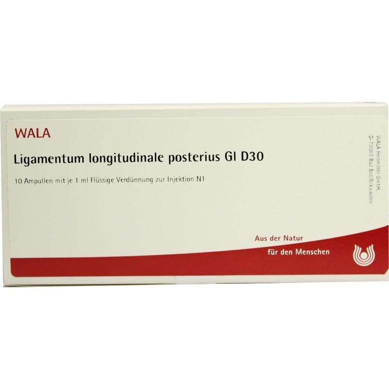 LIGAMENTUM LONGITUDINALE posterius GL D 30 Amp.