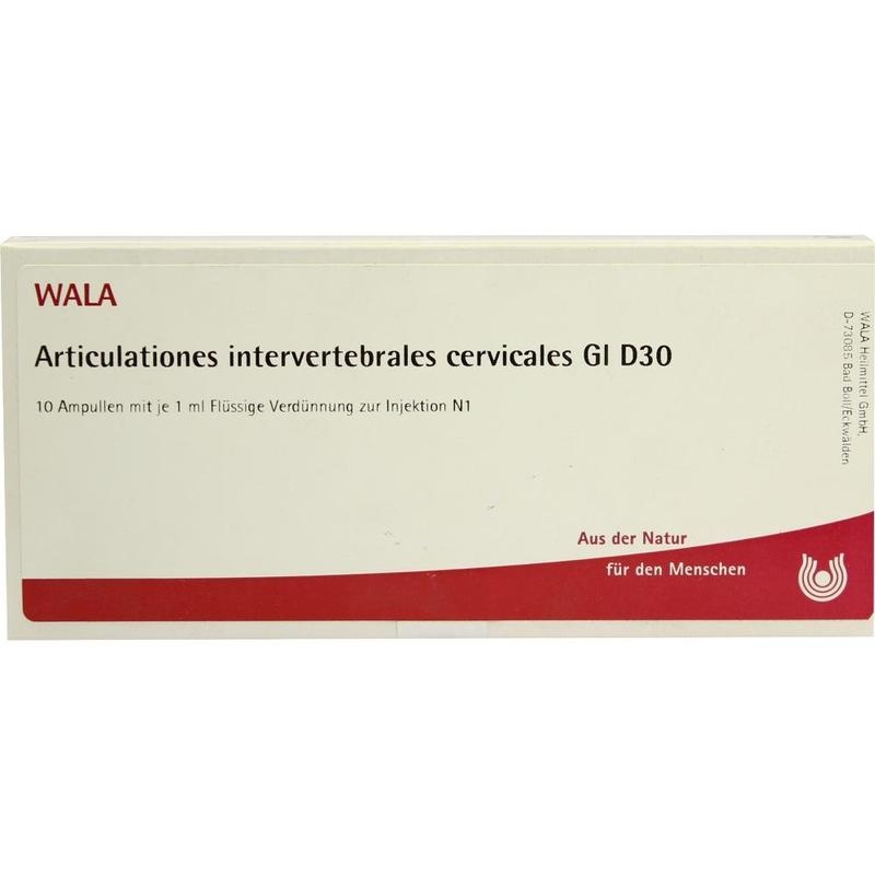ARTICULATIONES intervertebral.cerv.GL D 30 Amp.