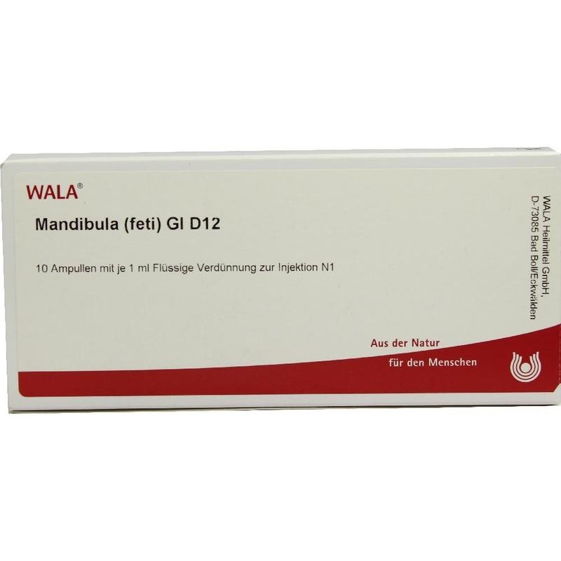 MANDIBULA feti GL D 12 Ampullen