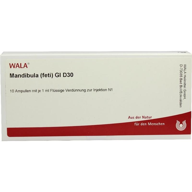 MANDIBULA feti GL D 30 Ampullen