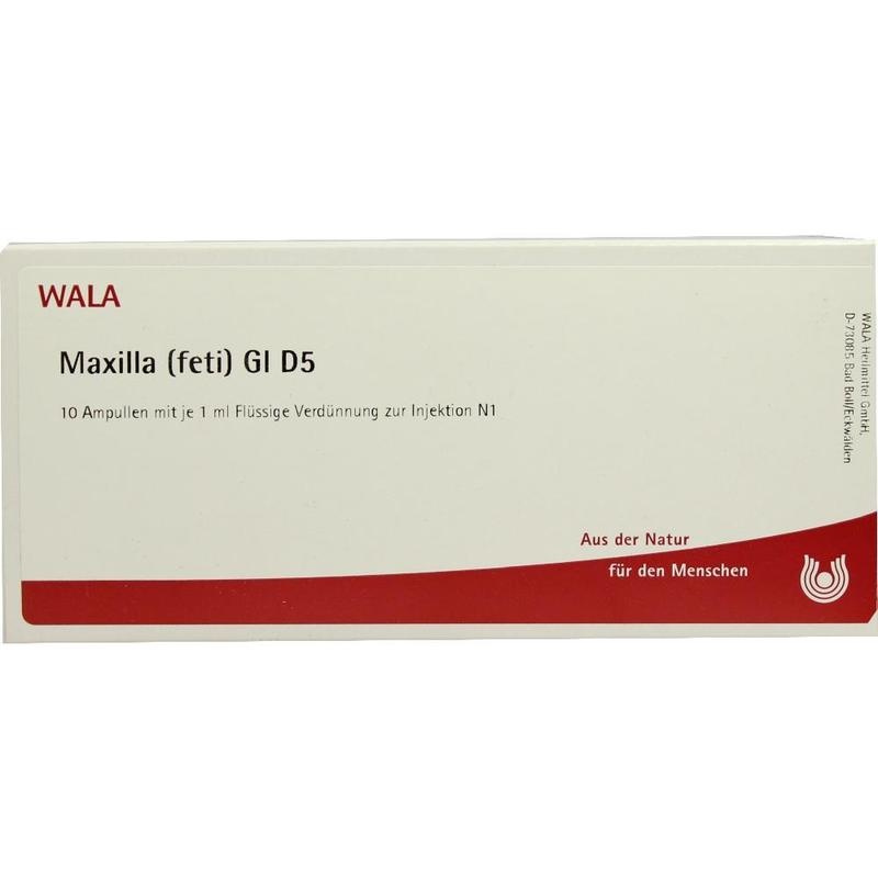 MAXILLA feti GL D 5 Ampullen