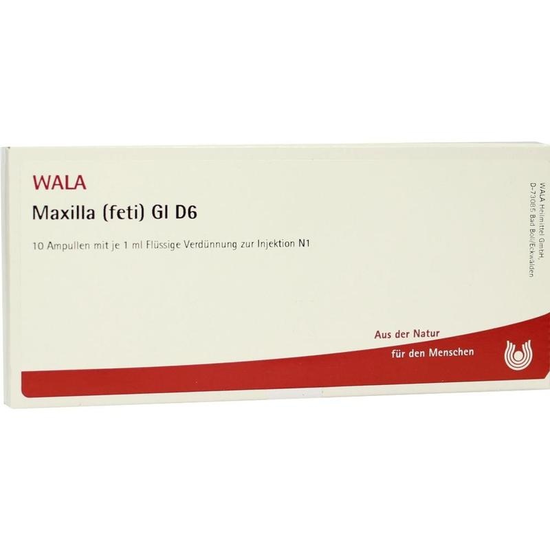 MAXILLA feti GL D 6 Ampullen