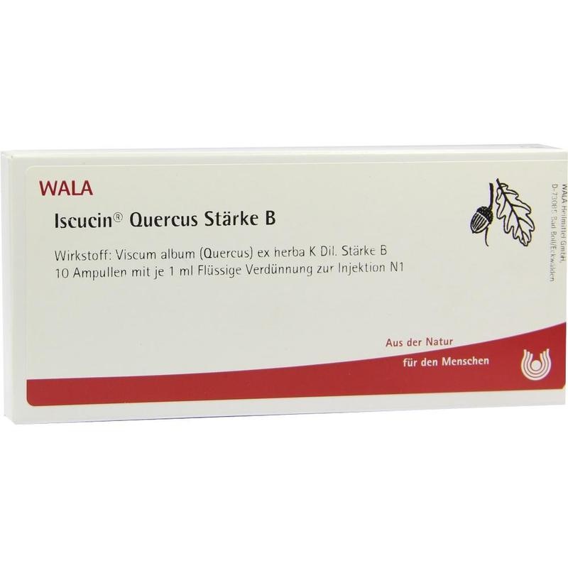 ISCUCIN quercus Stärke B Ampullen