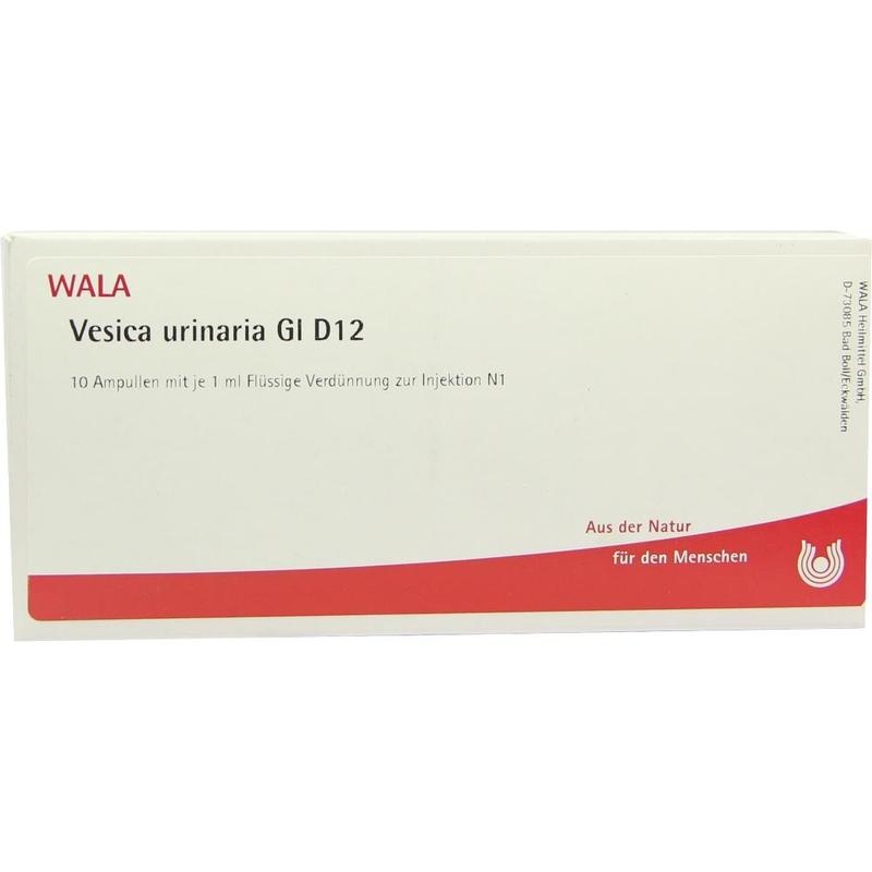 VESICA URINARIA GL D 12 Ampullen