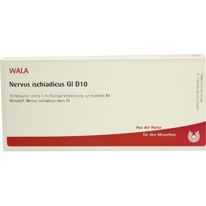 NERVUS ISCHIADICUS GL D 10 Ampullen