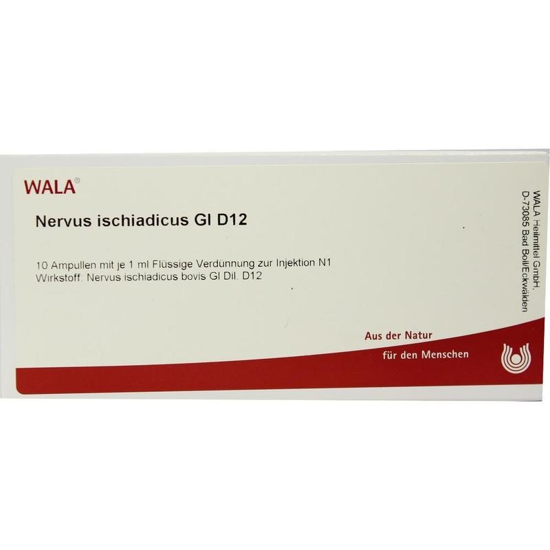NERVUS ISCHIADICUS GL D 12 Ampullen
