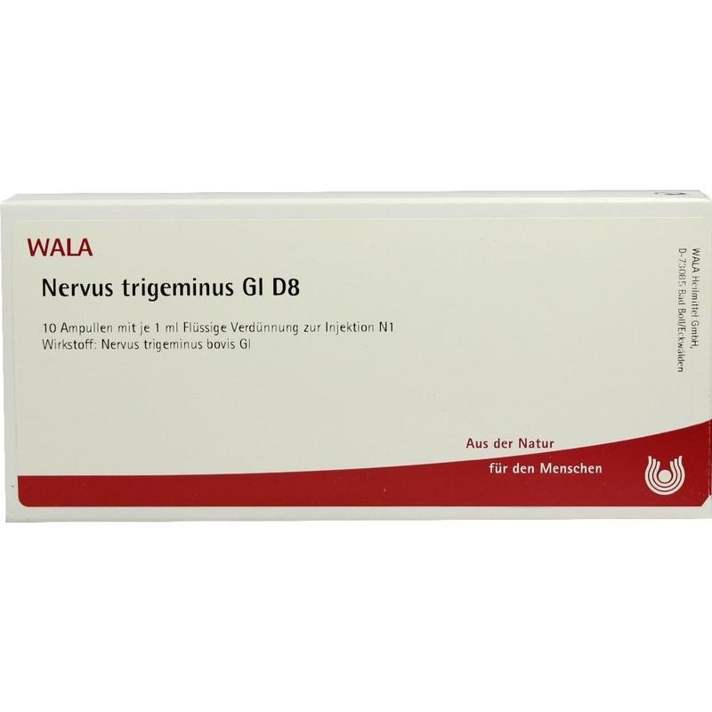 NERVUS TRIGEMINUS GL D 8 Ampullen
