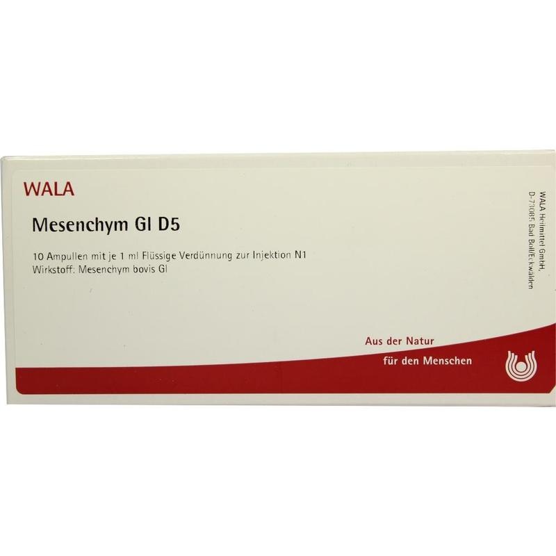MESENCHYM GL D 5 Ampullen