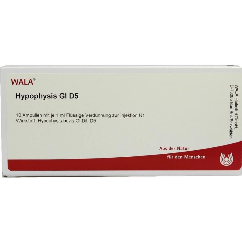HYPOPHYSIS GL D 5 Ampullen