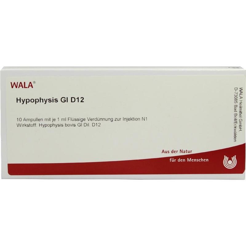 HYPOPHYSIS GL D 12 Ampullen
