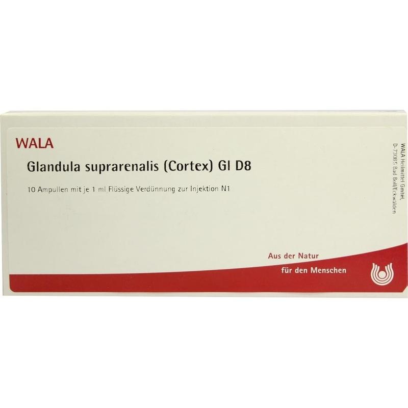 GLANDULA SUPRARENALIS cortex GL D 8 Ampullen