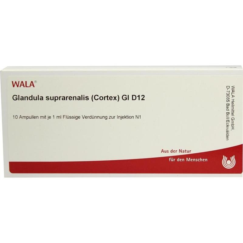 GLANDULA SUPRARENALES cortex GL D 12 Ampullen