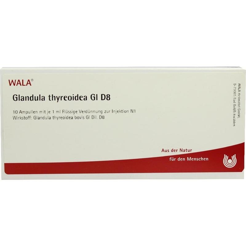 GLANDULA THYREOIDEA GL D 8 Ampullen