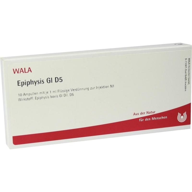 EPIPHYSIS GL D 5 Ampullen