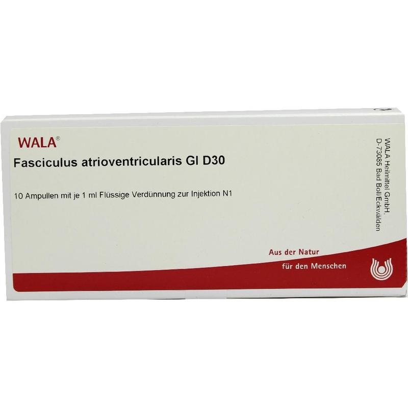 FASCICULUS atrioventricularis GL D 30 Ampullen