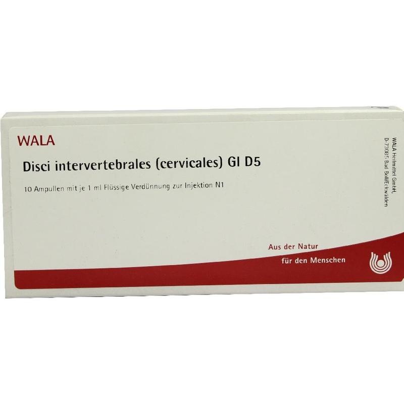 DISCI intervertebrales cervicales GL D 5 Ampullen