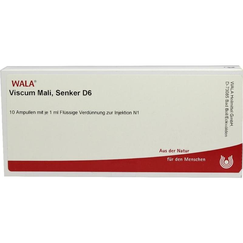 VISCUM MALI Senker D 6 Ampullen