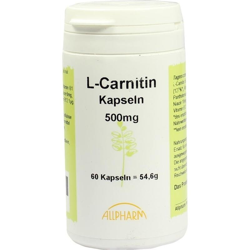 L-CARNITIN 500 mg Kapseln
