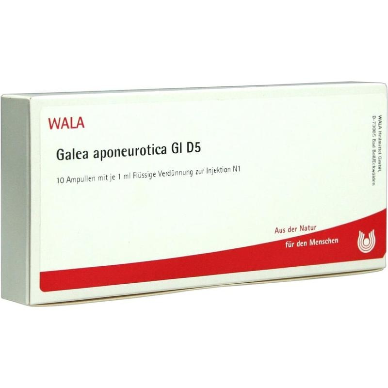 GALEA aponeurotica GL D 5 Ampullen