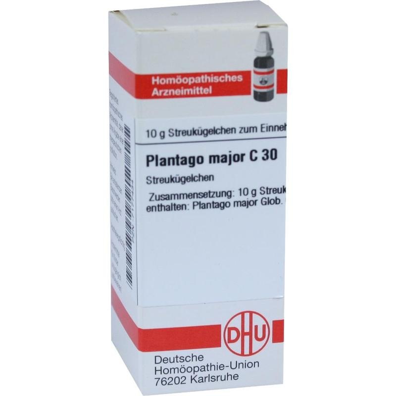 PLANTAGO MAJOR C 30 Globuli
