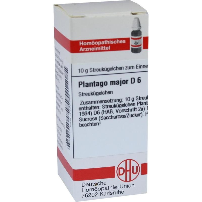 PLANTAGO MAJOR D 6 Globuli