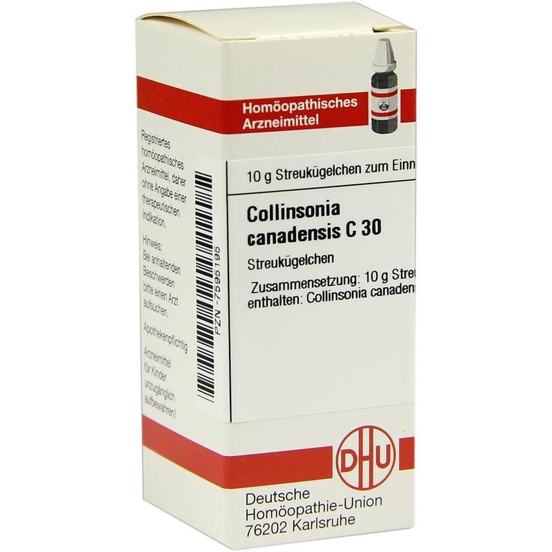 COLLINSONIA CANADENSIS C 30 Globuli