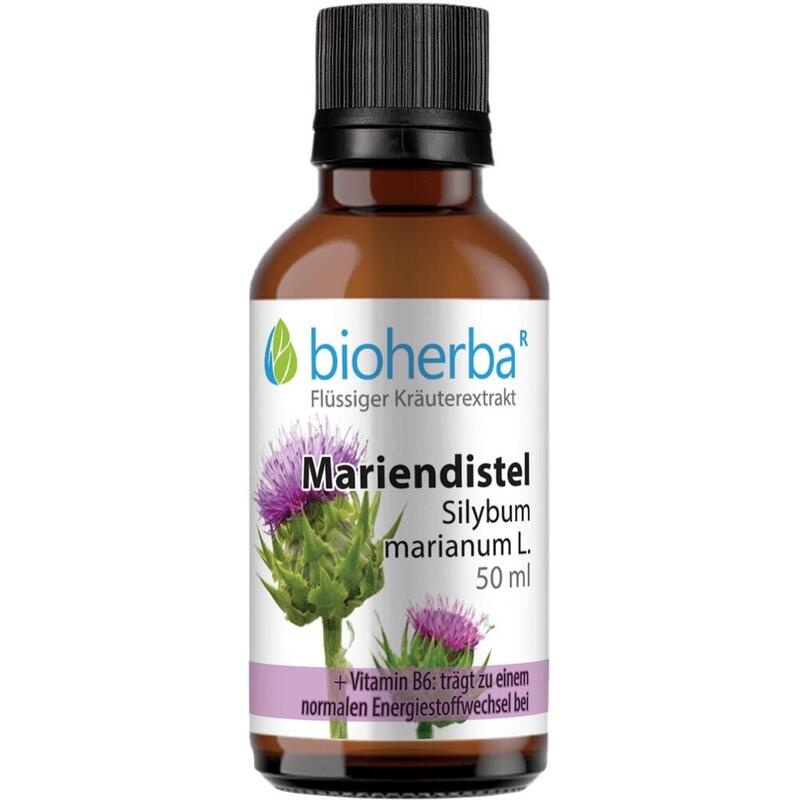 MARIENDISTEL TINKTUR