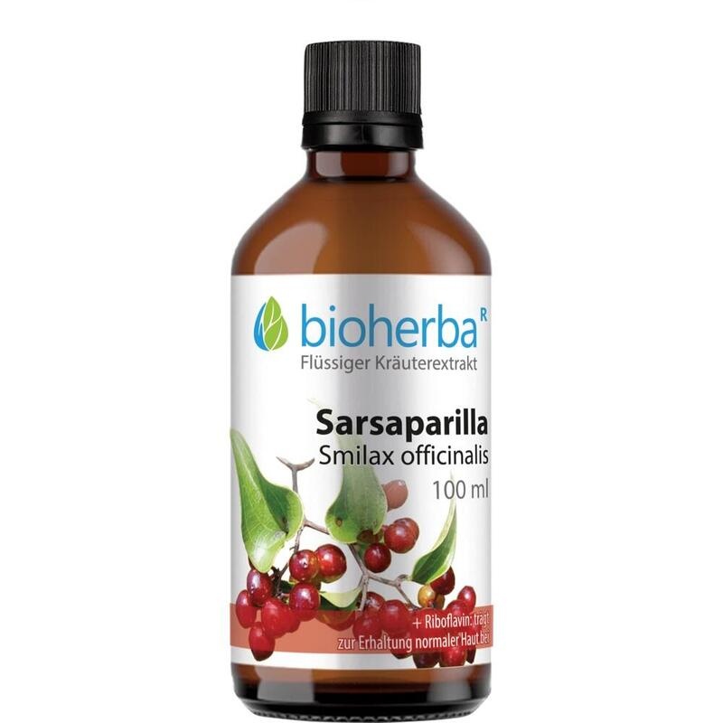 SARSAPARILLA SMILAX officinalis Tinktur