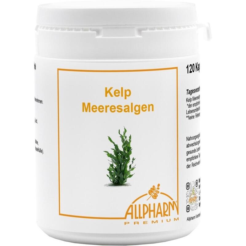 KELP MEERESALGEN Allpharm Premium Kapseln